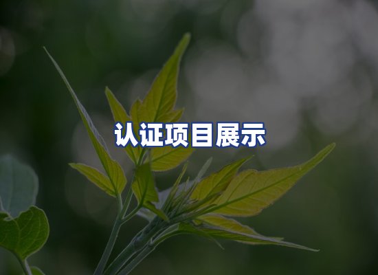 认证项目展示